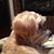 Nancy M. Muffick's profile image