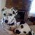 Michelle Tennant Ingle's profile image