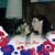 Kristin Johnson Bumgarner's profile image