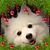 Katrina Sandell's profile image