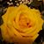 Jason N Sherrie Waide's profile image