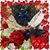 Joyce Carlson's profile image