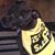 Stephanie Manko's profile image