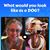 Kathy Lynn Wallace's profile image