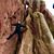 Timothy Roxby's profile image
