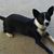 Nancy B Webb's profile image