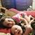 Janie Weeks Herbert's profile image