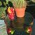 Debbie-Kay Whitehouse's profile image