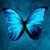 Vanessa Stewart's profile image