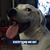 Chris Seyler's profile image