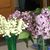 Patricia Sullivan VanHouten's profile image