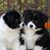 Linda Hurlbut's profile image