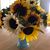 Tabitha Houle's profile image