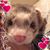 Vickie Pattavina's profile image