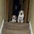Stasia Orte Cullinan's profile image