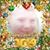 Hazel Bell's profile image