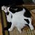 Leslie Suitor's profile image