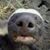 Sean Sweeney's profile image