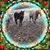 Patti Wood Porter's profile image
