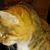 Joy Morical Ferrell's profile image