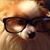 Nat Barnum's profile image