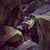 Alicia Jill Sokolowski's profile image