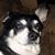 Paula Samson's profile image