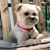 Rose Branagan's profile image