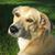 Peter Knott's profile image