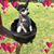 Lori Gluck's profile image