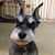 Diane Hanson Pfeffer's profile image