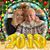 Kathy Collins Nocera's profile image