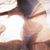 Tiffany Ricci's profile image