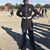 Phelecia E. Nembhard's profile image