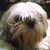 Lora Jester Rains's profile image
