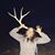 Jordan Rose Schwartz's profile image
