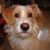 Lynn Kelly's profile image