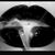 Tyanah Brixx's profile image