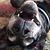 Jerri Rearigh- Nottingham's profile image