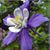 Janice Ingram Gilreath's profile image