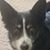Lori-Jill Epperson Baranishyn's profile image