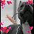 Janet Lopez Delgado's profile image