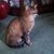 Gwen Sprague's profile image