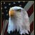 Linda Frame Groves's profile image
