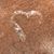 Jeanne Marie Mirabito's profile image
