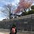 May Tran's profile image
