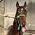 Gretel W Neff's profile image