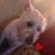 Jennifer Renee's profile image