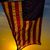 Scott Mecum's profile image