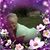 Sandra Carter's profile image
